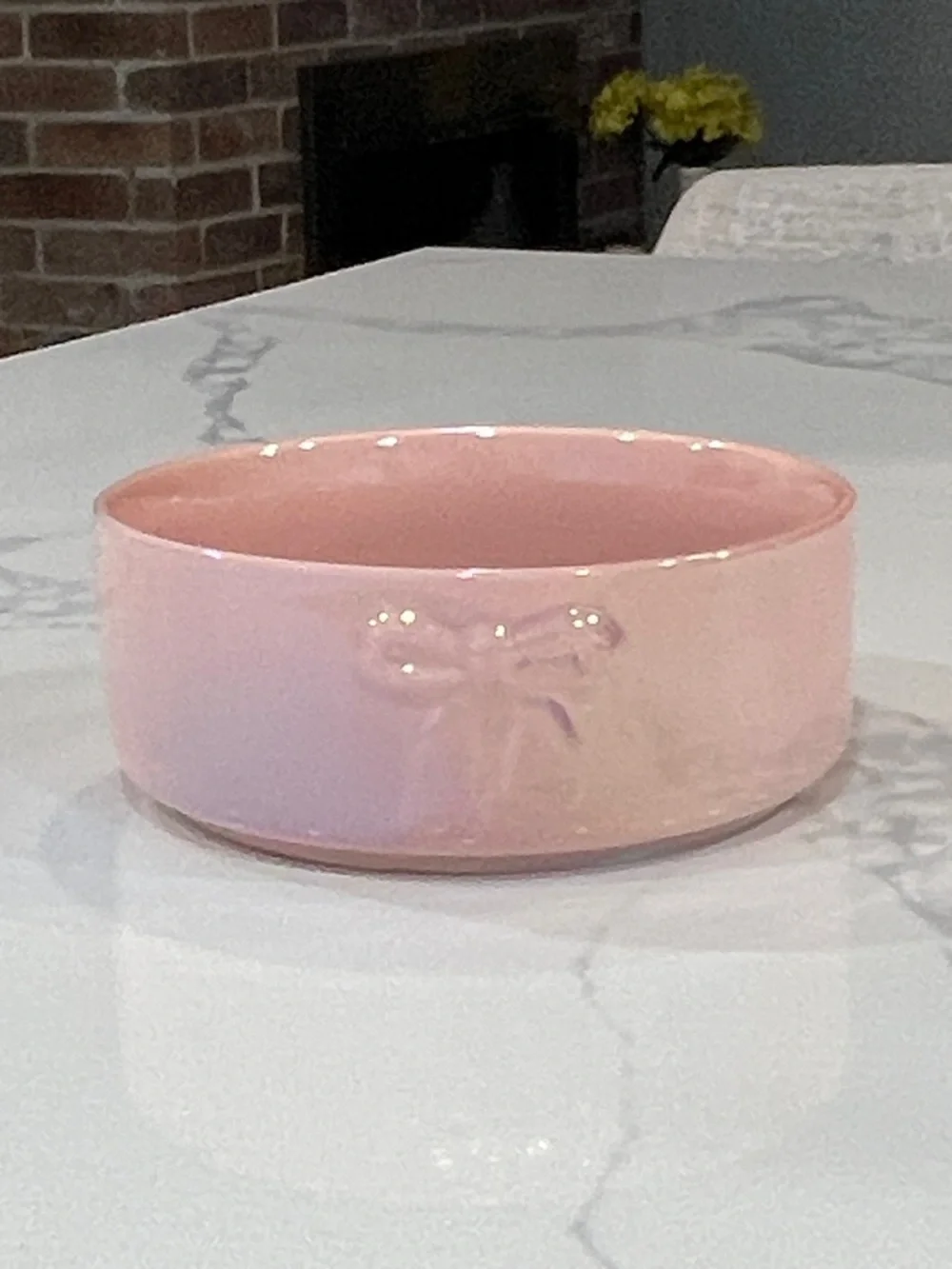 Cute.🐾🎀 DOGS. BOWL🎀🐾